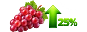 Trial3-grapes-optimized-300x112 copy